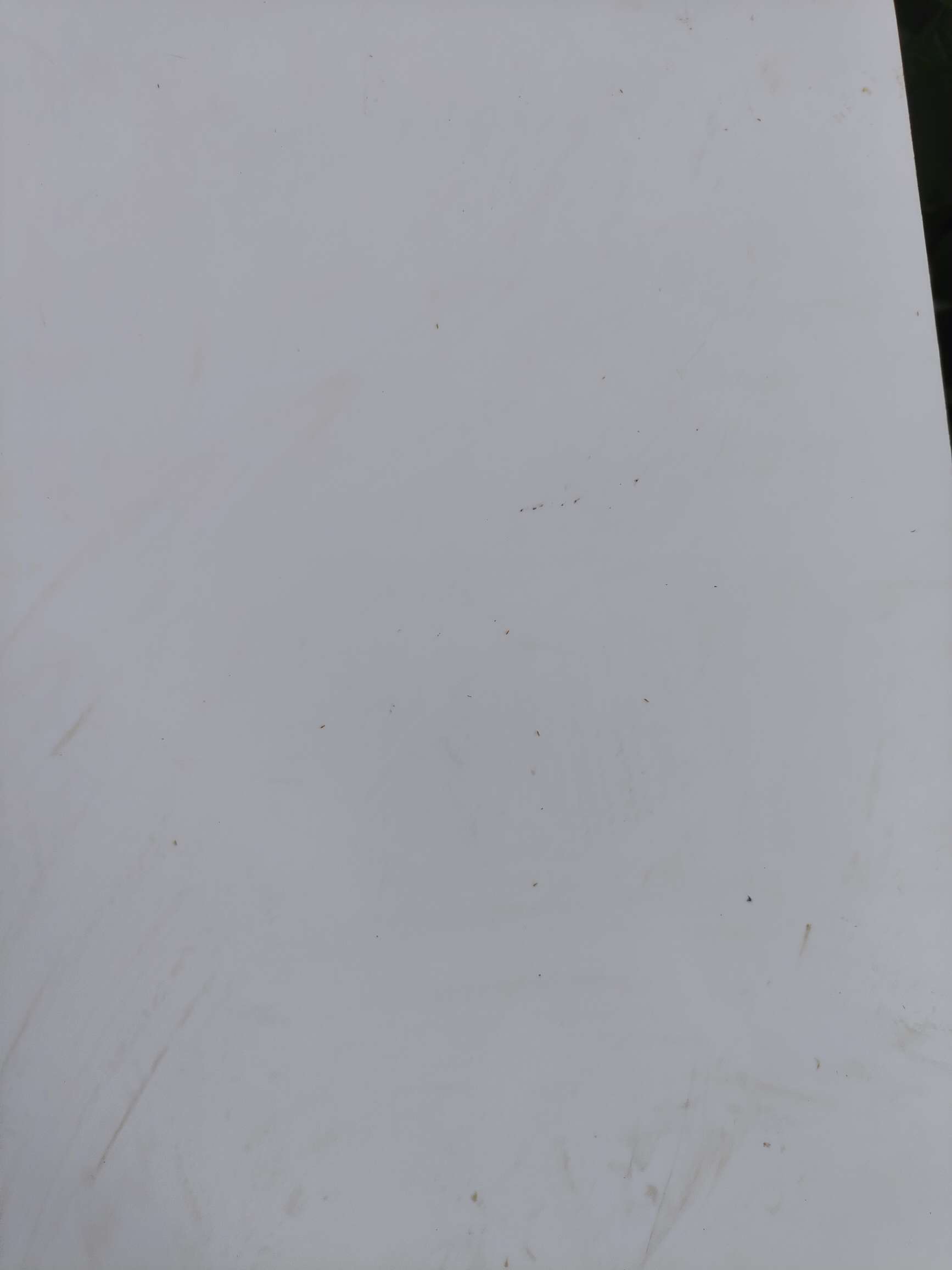 http://st-static1.xa-c.com/forums/2025/08/18/17555288245629.jpeg