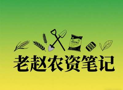 乡镇农资店对接厂家：不是否定代理，是找对&ldquo;有前景的小厂&rdquo;补增量