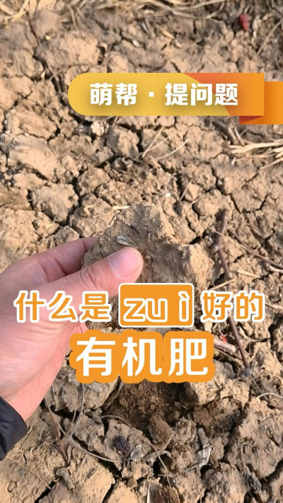 什么是最好的有机肥