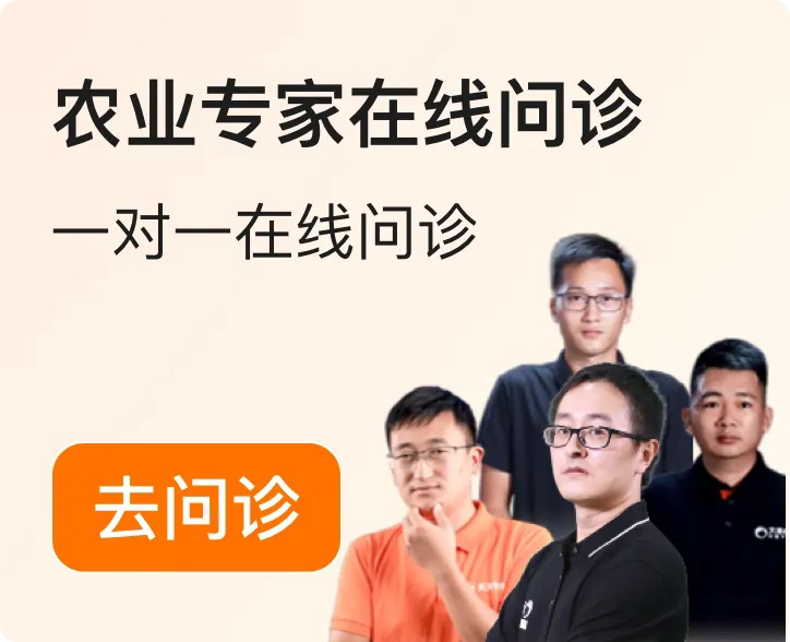 http://st-static1.xa-c.com/forums/2025/12/04/17648348949299.png