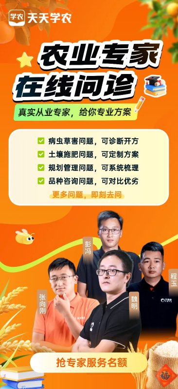 http://st-static1.xa-c.com/forums/2025/12/04/17648349249599.png