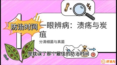 第三节：细菌与真菌&mdash;&mdash;溃疡病与炭疽病，课程：《柑橘十大病虫害：从入门到精通》
