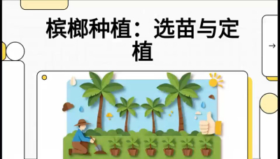 第01节：选苗与定植&mdash;&mdash;&ldquo;苗好一半收，底肥定千秋&rdquo;课程：《槟榔种植：从不懂到精通的10堂必修课》
