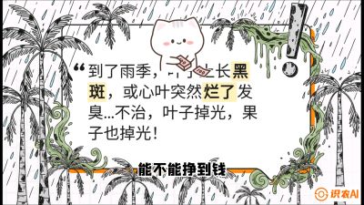第05节：常见真菌病害&mdash;&mdash;&ldquo;炭疽与烂心，早防值千金&rdquo;《槟榔种植：从不懂到精通的10堂必修课》