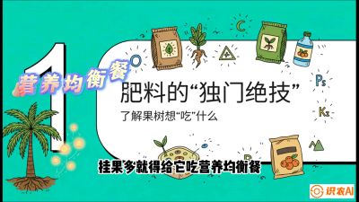 第07节：科学施肥&mdash;&mdash;&ldquo;氮磷钾配好，树壮果不倒