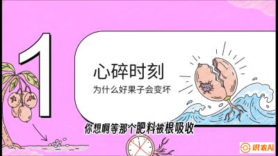 第08节：微量元素与保果&mdash;&mdash;&ldquo;补硼又补钙，果子不裂坏&rdquo;《槟榔种植：从不懂到精通的10堂必修课》
