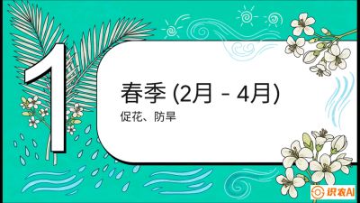 第10节：周年农事日历&mdash;&mdash;&ldquo;跟着节气走，丰产在手头&rdquo;《槟榔种植：从不懂到精通的10堂必修课》