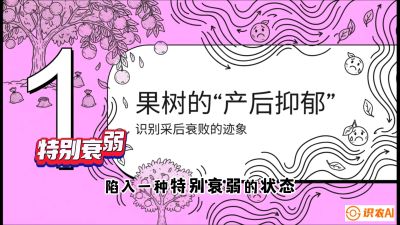 第2节：【冬肥策略】采后&ldquo;月子肥&rdquo;：大小年的精准干预术，课程：《柑橘底肥&ldquo;翻身账&rdquo;：从改土到高产的实战全书》