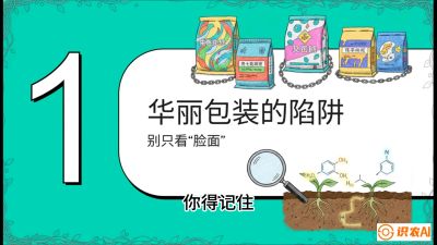 第4节：【黄金配方】底肥里的&ldquo;铁三角&rdquo;与&ldquo;微量雷区&rdquo;课程：《柑橘底肥&ldquo;翻身账&rdquo;：从改土到高产的实战全书》