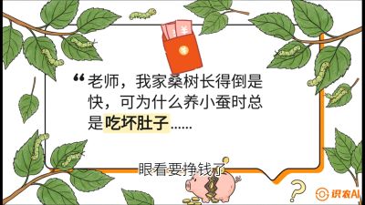 第01节：不仅仅是树&mdash;&mdash;顶级品种选配策略，课程：《桑海淘金：桑树高产与蚕桑安全进阶实战课》