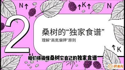 第04节：地下核动力&mdash;&mdash;桑树专用水肥一体化配方，课程：《桑海淘金：桑树高产与蚕桑安全进阶实战课》