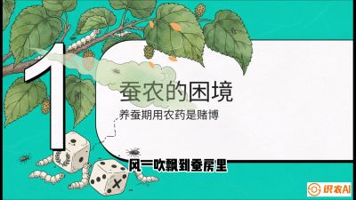 第06节：虫口夺叶（上）&mdash;&mdash;物理与生物防控绝技，课程《桑海淘金：桑树高产与蚕桑安全进阶实战课》