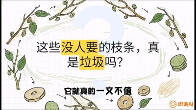 第12节：变废为宝&mdash;&mdash;循环农业实操，课程：《桑海淘金：桑树高产与蚕桑安全进阶实战课》