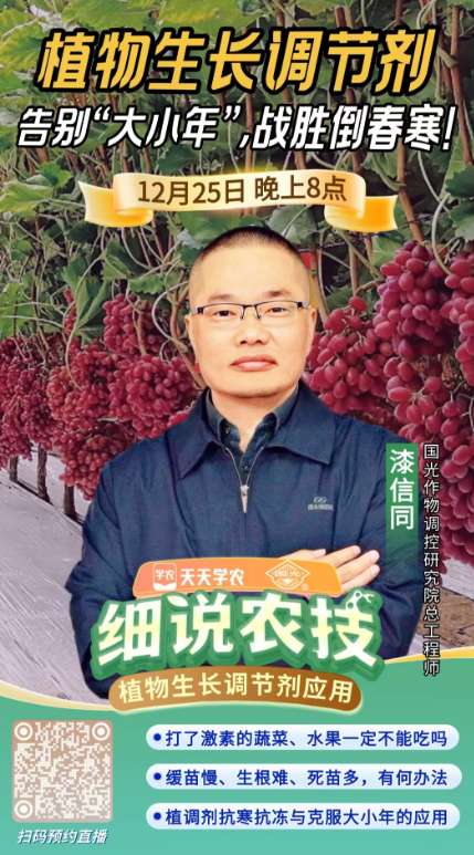 http://st-static1.xa-c.com/forums/2025/12/23/17664639985811.png