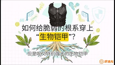 第三节：国产榴莲突围战：根系堡垒，菌根微生态构建与黄金定植窗口，课程：《国产榴莲突围战：从泰国经验到中国实操的8堂必修课（高阶实战版）》