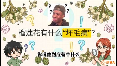 第六节：榴莲的午夜战事，夜间授粉战与花果期避雨策略，课程：《国产榴莲突围战：从泰国经验到中国实操的8堂必修课（高阶实战版）》