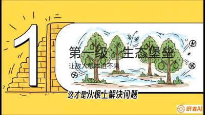 第七节：榴莲防御战：病虫害三级立体防控，疫霉菌与虫害的立体封锁线，课程：《国产榴莲突围战：从泰国经验到中国实操的8堂必修课（高阶实战版）》