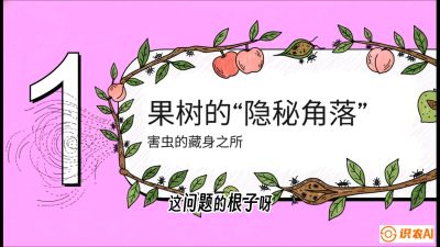 第3节：无人机专治&ldquo;打不透&rdquo;&mdash;&mdash;果树与高杆作物的穿透技巧，课程：《无人机植保搞钱必修课：从&ldquo;瞎飞&rdquo;到&ldquo;懂行&rdquo;的6步进阶》