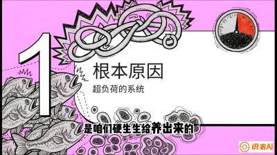 第三节：【爆款单品&middot;加州鲈】从&ldquo;玻璃鱼&rdquo;到&ldquo;摇钱树&rdquo;的通关秘籍，课程：《黄金鳞甲：2025中国淡水鱼高效养殖实战营》