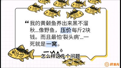 第四节：【黄金单品&middot;黄颡鱼】解决&ldquo;一点红&rdquo;与&ldquo;香蕉色&rdquo;的悖论，课程：《黄金鳞甲：2025中国淡水鱼高效养殖实战营》