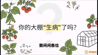 第2节（解毒篇）： 大棚里的&ldquo;红白绿&rdquo;警报&mdash;&mdash;读懂土壤盐渍化的求救信号，课程：《揭秘土壤的秘密：让土地帮你赚钱》#识农AI
