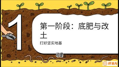 第6节（统筹篇）： 省钱又增产的&ldquo;黄金配比&rdquo;&mdash;&mdash;不同作物全年的养土实操方案，课程：《揭秘土壤的秘密：让土地帮你赚钱》#识农AI