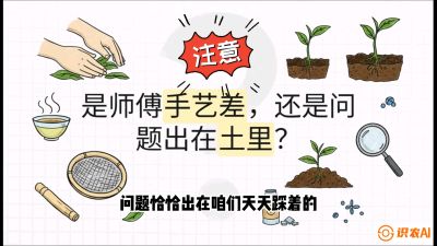 第02节（土肥篇）：告别&ldquo;苦涩水味&rdquo;：揭秘&ldquo;碳氮比&rdquo;调控术，种出自带兰花香的好茶底，课程：《茶金时代：从&ldquo;看天吃饭&rdquo;到&ldquo;精准控局&rdquo;的茶叶高产提质实战课》