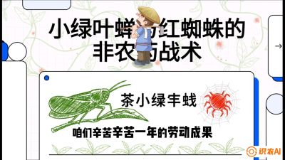 第03节（虫害篇）：看不见的吸血鬼：小绿叶蝉与红蜘蛛的&ldquo;非农药&rdquo;团灭战术（抗性治理），课程：《茶金时代：从&ldquo;看天吃饭&rdquo;到&ldquo;精准控局&rdquo;的茶叶高产提质实战课》