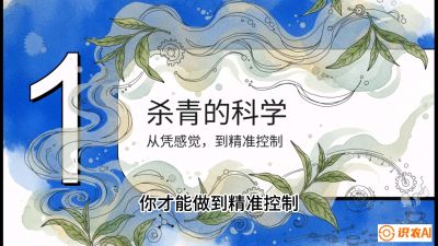 第05节（加工篇）：决胜2分钟：用&ldquo;数字温控&rdquo;破解杀青不匀，复刻大师级手工口感，课程：《茶金时代：从&ldquo;看天吃饭&rdquo;到&ldquo;精准控局&rdquo;的茶叶高产提质实战课》