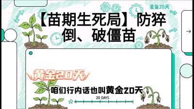 第2节：【苗期生死局】防猝倒、破僵苗，决定后期产量的&ldquo;黄金20天&rdquo;，课程：《辣椒种植实战特训营，从工业辣椒到精品小米辣，教你如何把&ldquo;草&rdquo;种成&ldquo;金&rdquo;》