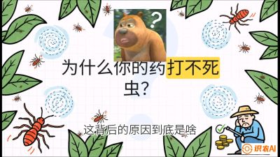 第4节：【虫害歼灭战】打不死的蓟马、隐形的茶黄螨：抗性时代的&ldquo;混配绝杀&rdquo;，课程：《辣椒种植实战特训营，从工业辣椒到精品小米辣，教你如何把&ldquo;草&rdquo;种成&ldquo;金&rdquo;》