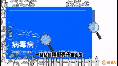 第5节：【病毒病阻击】辣椒的&ldquo;癌症&rdquo;怎么治？从&ldquo;绝收恐慌&rdquo;到&ldquo;带毒生产&rdquo;的逆转术，课程：《辣椒种植实战特训营，从工业辣椒到精品小米辣，教你如何把&ldquo;草&rdquo;种成&ldquo;金&rdquo;》