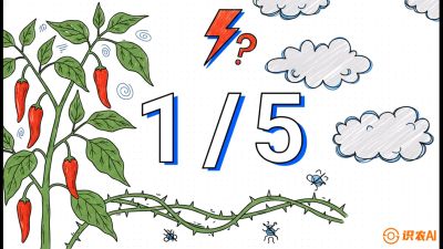 第6节：【花果爆发术】落花落果的五大元凶，与&ldquo;三喷一保&rdquo;坐果黑科技，课程：《辣椒种植实战特训营，从工业辣椒到精品小米辣，教你如何把&ldquo;草&rdquo;种成&ldquo;金&rdquo;》