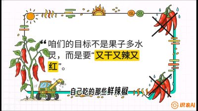 第7节：【工业辣椒专场】追求极致辣度！干物质提升与机械化采收的&ldquo;催红秘籍&rdquo;，课程：《辣椒种植实战特训营，从工业辣椒到精品小米辣，教你如何把&ldquo;草&rdquo;种成&ldquo;金&rdquo;》