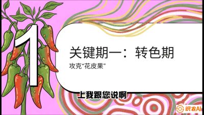 第8节：【小米辣线椒专场】颜值即正义！防花皮、防炭疽，打造收购商抢着要的&ldquo;精品果&rdquo;，课程：《辣椒种植实战特训营，从工业辣椒到精品小米辣，教你如何把&ldquo;草&rdquo;种成&ldquo;金&rdquo;》