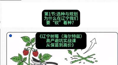 第一节： 选种与规划&mdash;&mdash;为什么在辽宁我们要&ldquo;砍&rdquo;着种？，课程：《辽宁树莓（海尔特兹）高产避坑实战课：从保苗到高价》