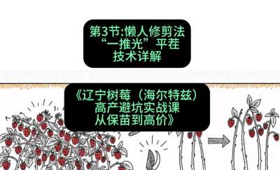 第三节： 懒人修剪法&mdash;&mdash;&ldquo;一推光&rdquo;平茬技术详解，课程：《辽宁树莓（海尔特兹）高产避坑实战课：从保苗到高价》
