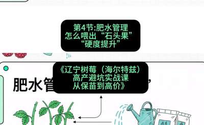 第四节： 肥水管理&mdash;&mdash;怎么喂出&ldquo;石头果&rdquo;（硬度提升），课程：《辽宁树莓（海尔特兹）高产避坑实战课：从保苗到高价》