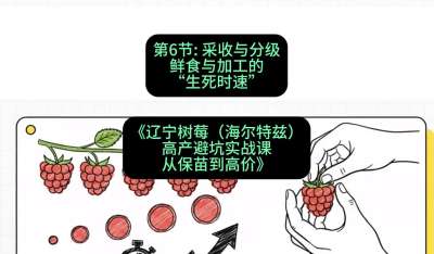 第六节： 采收与分级&mdash;&mdash;鲜食与加工的&ldquo;生死时速&rdquo;，课程：《辽宁树莓（海尔特兹）高产避坑实战课：从保苗到高价》