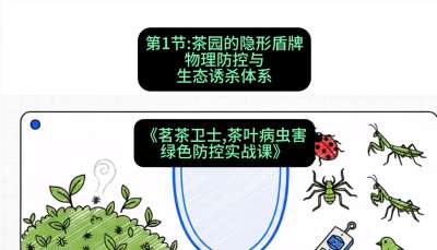 第01节：茶园的&ldquo;隐形盾牌&rdquo;&mdash;&mdash;物理防控与生态诱杀体系，课程：《茗茶卫士&mdash;&mdash;茶叶病虫害绿色防控实战课》#识农AI
