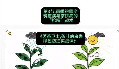 第03节：雨季的霉变&mdash;&mdash;炭疽病与茶饼病的&ldquo;抢晴&rdquo;战术，课程：《茗茶卫士&mdash;&mdash;茶叶病虫害绿色防控实战课》#识农AI