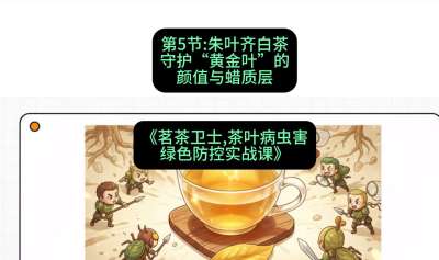 第05节：朱叶齐白茶&mdash;&mdash;守护&ldquo;黄金叶&rdquo;的颜值与蜡质层（重点），课程：《茗茶卫士&mdash;&mdash;茶叶病虫害绿色防控实战课》#识农AI