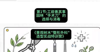 第01节：工欲善其事&mdash;&mdash;园林&ldquo;手术刀&rdquo;的选择与消毒，课程：《景观树木&ldquo;整形外科&rdquo;造型实战特训营》#识农AI