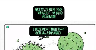 第02节：万物皆可盘&mdash;&mdash;&ldquo;精球形&rdquo;修剪的圆润秘籍，课程：《景观树木&ldquo;整形外科&rdquo;造型实战特训营》#识农AI