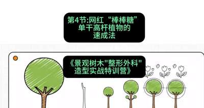 第04节：网红&ldquo;棒棒糖&rdquo;&mdash;&mdash;单干高杆植物的速成法，课程：《景观树木&ldquo;整形外科&rdquo;造型实战特训营》#识农AI
