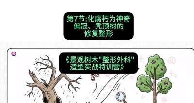 第07节：化腐朽为神奇&mdash;&mdash;偏冠、秃顶树的修复整形，课程：《景观树木&ldquo;整形外科&rdquo;造型实战特训营》#识农AI