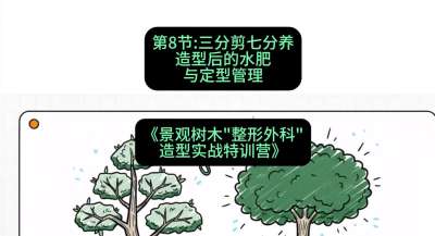 第08节：三分剪七分养&mdash;&mdash;造型后的水肥与定型管理，课程：《景观树木&ldquo;整形外科&rdquo;造型实战特训营》#识农AI