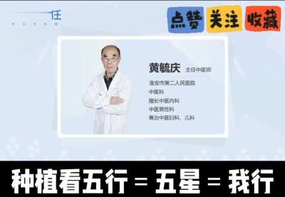 中药材淫羊藿怎么种？听专家一次讲明白！不挑地块好管理，耐寒耐旱省心省力，新手也能轻松上手，药用价值高、市场需求稳，妥妥的增收好品种～ 从生长习性到采收要点，干货满满无废话，种植疑问直接问，一对一答疑解