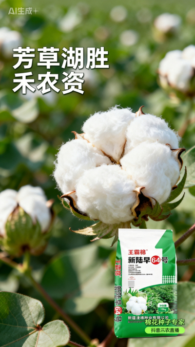 新疆棉花澳棉种业王霸棉，还有其它都好