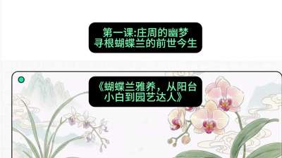 第一节：庄周的幽梦：寻根蝴蝶兰的前世今生，课程：《蝴蝶兰雅养六讲：从阳台小白到园艺达人》#识农AI